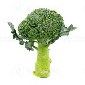 Broccoli