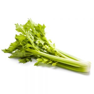 Celery