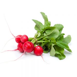 Radish