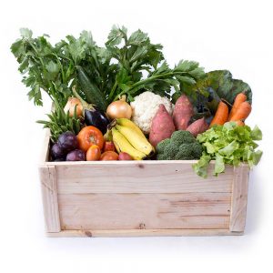 Veggies Combo Box Large