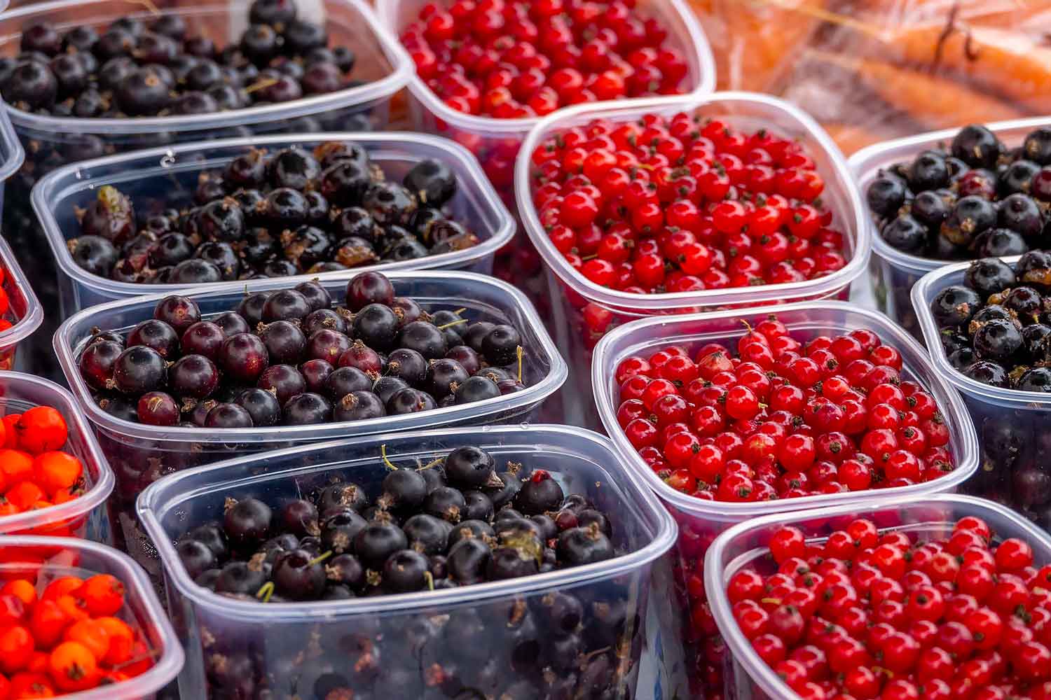 Fruit Packaging