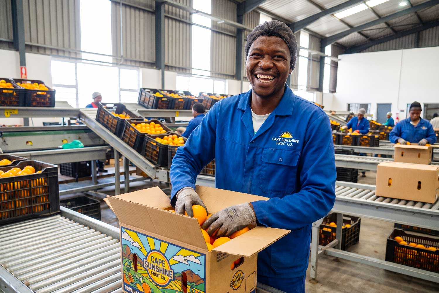 Packaging and Freshness The Science Behind Keeping Produce Longer